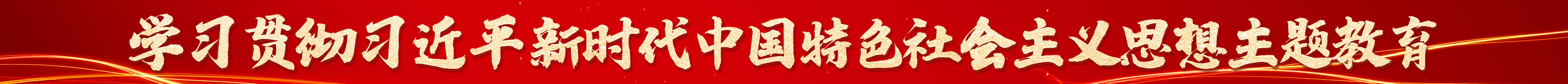 學(xué)習(xí)貫徹習(xí)近平新時代中國特色社會主義思想主題教育